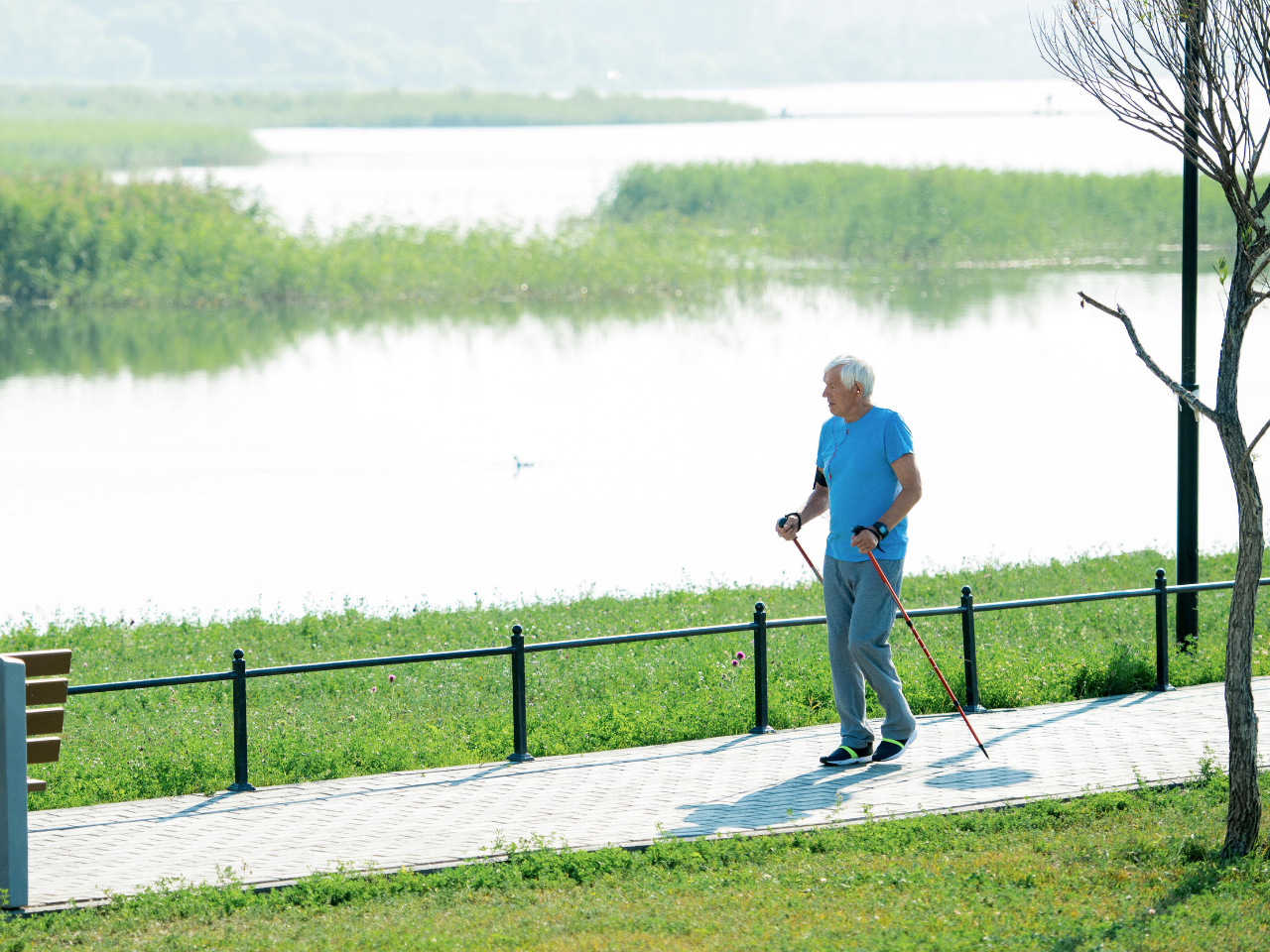 Nordic Pole Walking Class