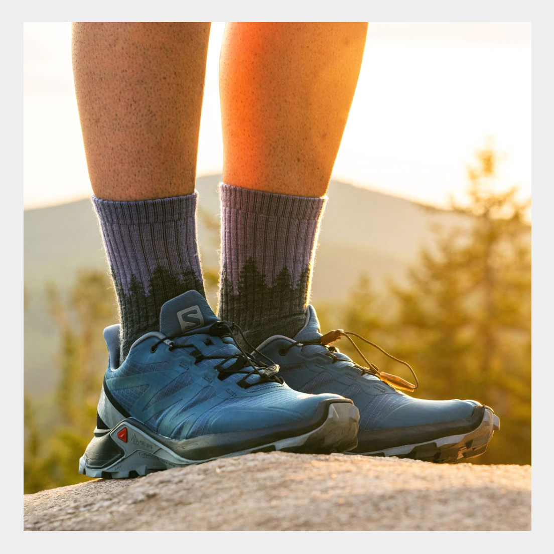 Darn Tough Treeline Micro Crew Cush Socks