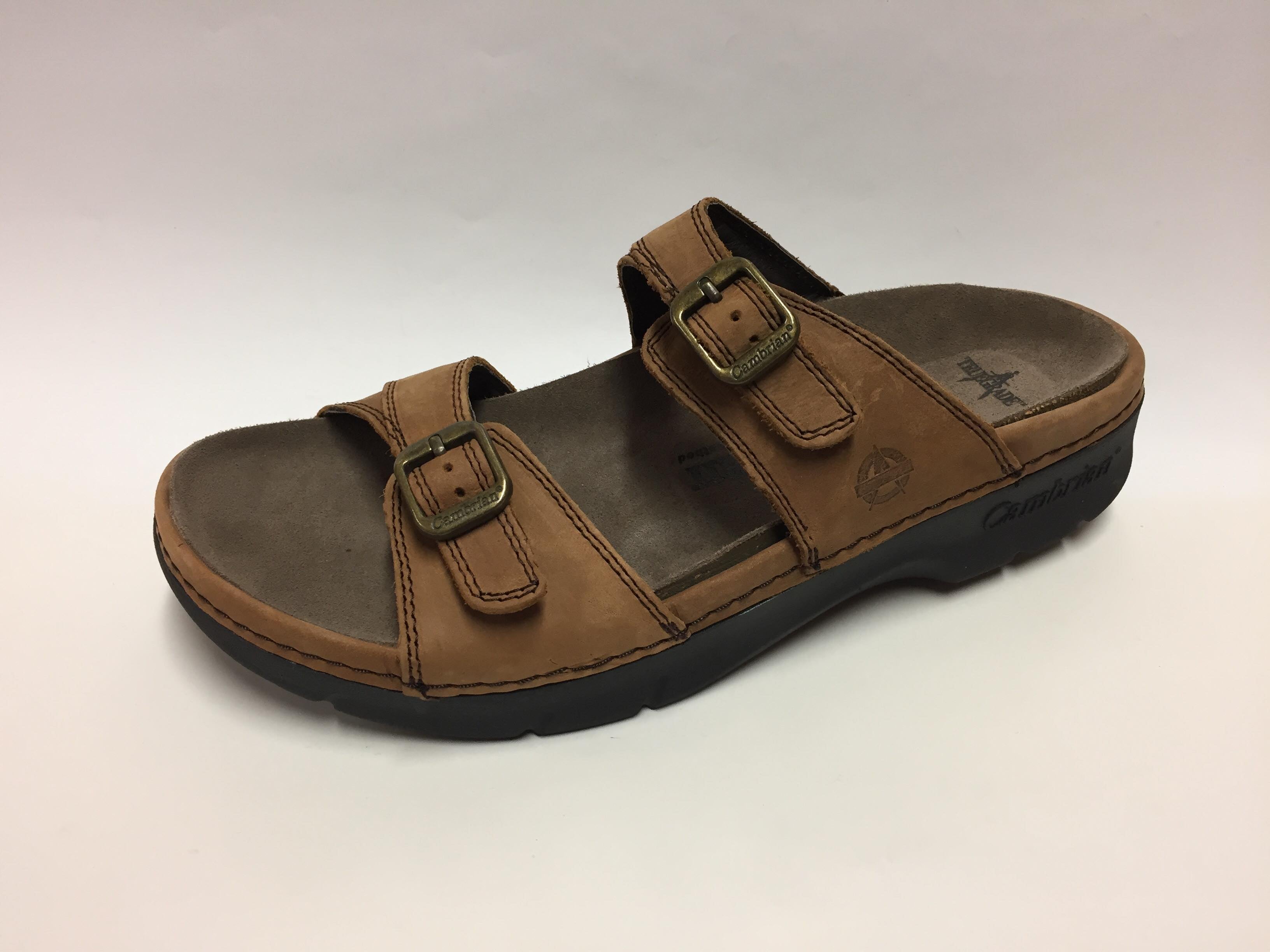 Cambrian Agean 2 Brown