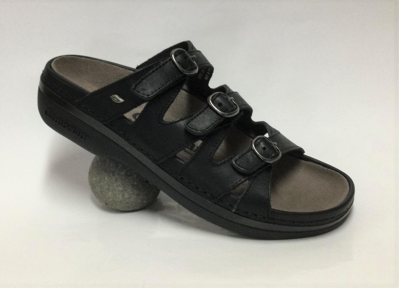 Cambrian Sylvan Sandal
