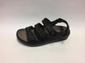 Cambrian Delphi Black Sandal
